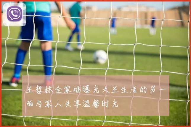王哲林全家福曝光大王生活的另一面与家人共享温馨时光