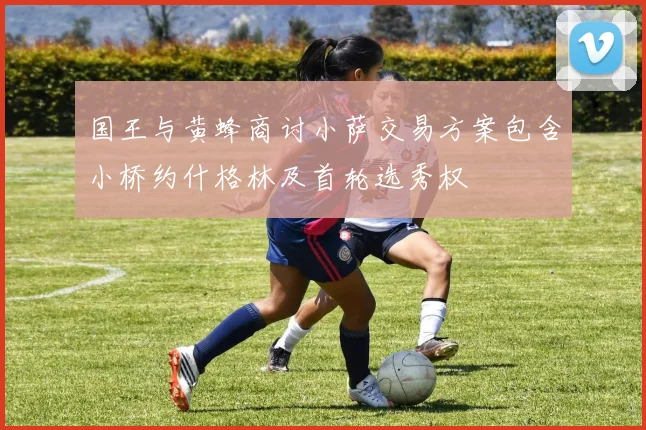 国王与黄蜂商讨小萨交易方案包含小桥约什格林及首轮选秀权