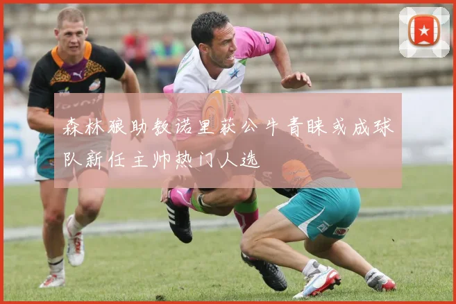 森林狼助教诺里获公牛青睐或成球队新任主帅热门人选