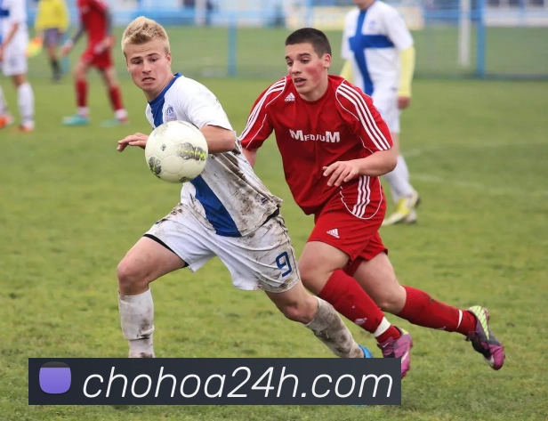 登录器