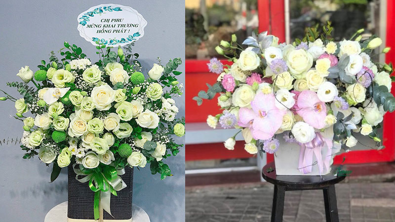 Hoa chúc mừng hình thức để bàn hot nhất