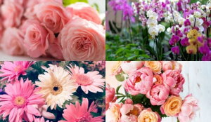 Có rất nhiều loài hoa được lựa chọn trong dịp sinh nhật