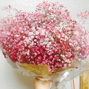 Chợ hoa 24h Đà Lạt